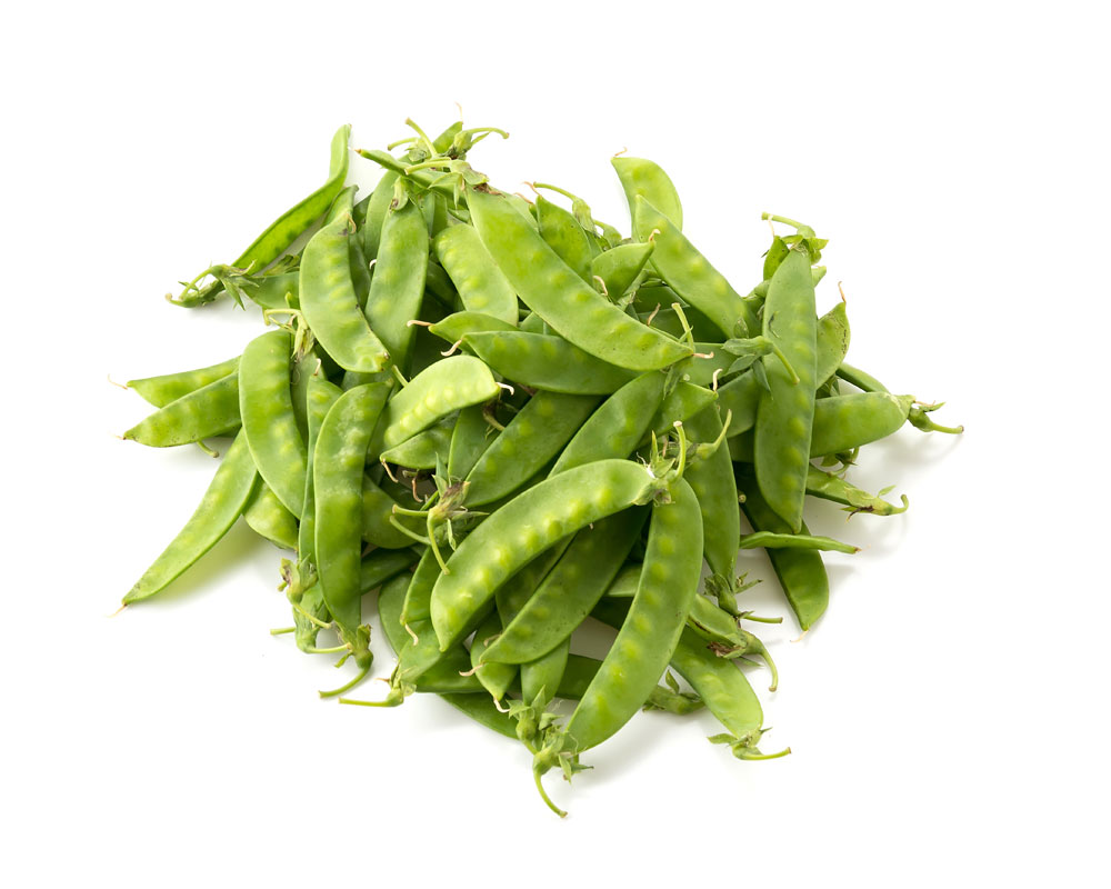 Kacang Polong